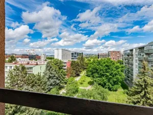 Prodej bytu 2+1, Praha - Karlín, Nekvasilova, 42 m2