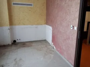 Pronájem komerční nemovitosti, Olomouc, Jeremenkova, 200 m2