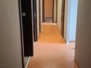 Pronájem komerční nemovitosti, Olomouc, Jeremenkova, 200 m2
