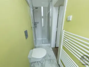 Pronájem bytu 4+kk, Praha - Vinohrady, Korunní, 95 m2