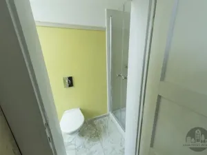 Pronájem bytu 4+kk, Praha - Vinohrady, Korunní, 95 m2