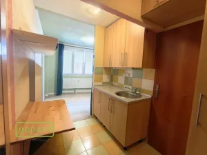 Pronájem bytu 1+kk, Bor, Borská, 20 m2