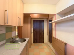 Pronájem bytu 1+kk, Bor, Borská, 20 m2