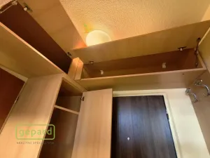 Pronájem bytu 1+kk, Bor, Borská, 20 m2