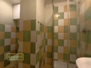 Pronájem bytu 1+kk, Bor, Borská, 20 m2