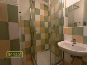 Pronájem bytu 1+kk, Bor, Borská, 20 m2