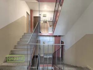 Pronájem bytu 1+kk, Bor, Borská, 20 m2