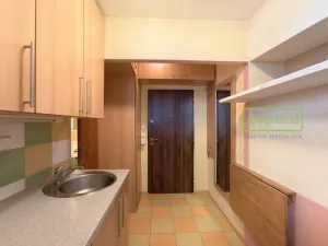 Prodej bytu 1+kk, Bor, Borská, 20 m2