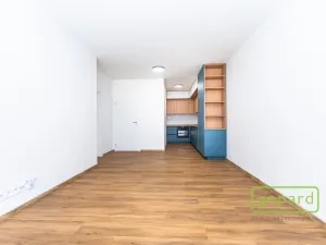 Pronájem bytu 2+kk, Praha, Gerstelova, 48 m2