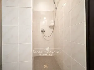Prodej ubytování, Vrbno pod Pradědem - Mnichov, 561 m2