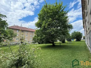 Pronájem bytu 2+1, Blansko, Chelčického, 56 m2