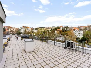 Pronájem bytu 2+kk, Praha - Vinohrady, Perucká, 41 m2