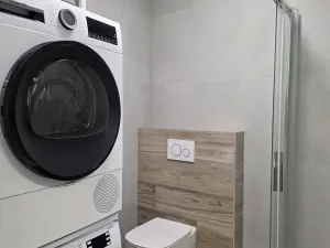 Pronájem bytu 1+kk, Plzeň, Na Rybníčku, 51 m2
