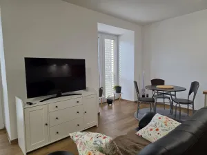 Pronájem bytu 1+kk, Plzeň, Na Rybníčku, 51 m2