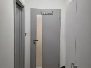 Pronájem bytu 1+kk, Plzeň, Na Rybníčku, 51 m2