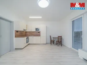 Pronájem bytu 1+kk, Olomouc, Wolkerova, 43 m2