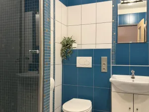 Pronájem bytu 1+1, Opočno, Krátká, 32 m2