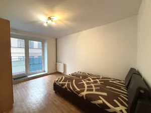 Pronájem bytu 2+kk, České Budějovice, Riegrova, 42 m2
