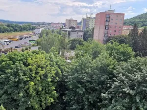 Pronájem bytu 2+1, Karlovy Vary, Charkovská, 51 m2