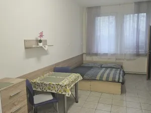 Pronájem bytu 1+kk, Hranice - Hranice I-Město, Potštátská, 40 m2
