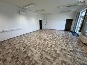 Pronájem kanceláře, Most, Růžová, 167 m2