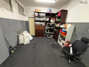 Pronájem kanceláře, Most, Růžová, 84 m2