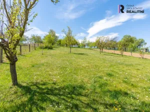 Prodej rodinného domu, Rašovice, 195 m2