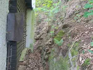 Prodej chaty, Čížová, 24 m2