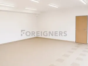 Pronájem obchodního prostoru, Brno, Jemelkova, 65 m2