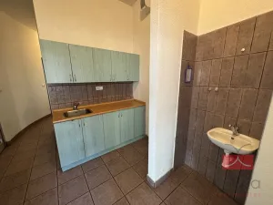 Pronájem komerční nemovitosti, Světlá nad Sázavou, Lánecká, 250 m2