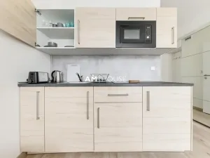Pronájem bytu 1+kk, Praha - Radlice, Peroutkova, 18 m2