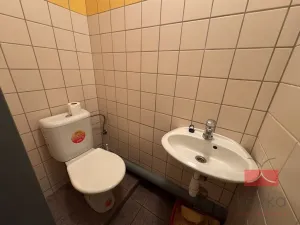Pronájem komerční nemovitosti, Světlá nad Sázavou, Lánecká, 250 m2