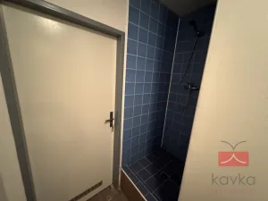Pronájem komerční nemovitosti, Světlá nad Sázavou, Lánecká, 250 m2