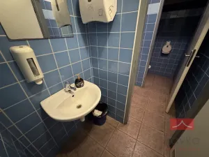 Pronájem komerční nemovitosti, Světlá nad Sázavou, Lánecká, 250 m2