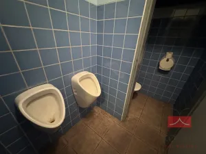 Pronájem komerční nemovitosti, Světlá nad Sázavou, Lánecká, 250 m2
