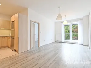 Pronájem bytu 2+kk, Brno, Langrova, 64 m2