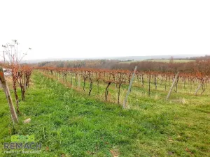 Prodej rodinného domu, Újezdec, 164 m2