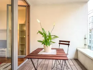 Pronájem bytu 1+kk, Praha - Žižkov, Havlíčkovo náměstí, 29 m2