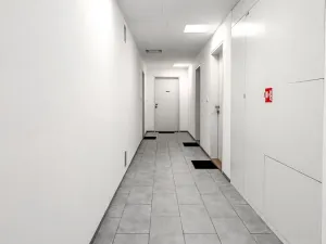 Pronájem bytu 1+kk, Praha - Žižkov, Havlíčkovo náměstí, 29 m2