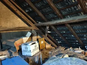 Prodej vícegeneračního domu, Vyškov - Dědice, Revoluční, 285 m2