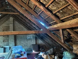 Prodej vícegeneračního domu, Vyškov - Dědice, Revoluční, 285 m2