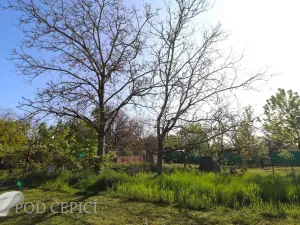 Prodej rodinného domu, Újezd u Brna, Legionářská, 81 m2