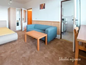 Pronájem bytu 1+1, Brno - Lesná, Šrámkova, 27 m2