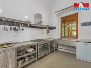 Prodej restaurace, Horka I - Svobodná Ves, 76556 m2