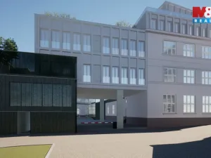 Prodej obchodního prostoru, Opava - Město, Masarykova třída, 160 m2