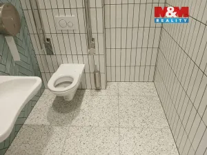 Prodej obchodního prostoru, Opava - Město, Masarykova třída, 50 m2