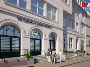 Prodej obchodního prostoru, Opava - Město, Masarykova třída, 40 m2