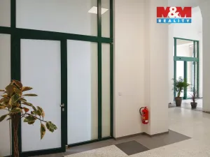 Prodej obchodního prostoru, Opava - Město, Masarykova třída, 20 m2