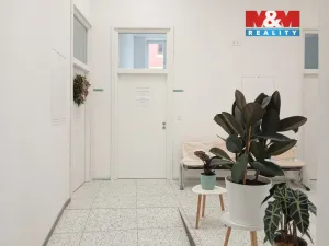 Prodej obchodního prostoru, Opava - Město, Masarykova třída, 20 m2