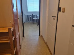 Pronájem bytu 1+1, Plzeň, Brněnská, 40 m2